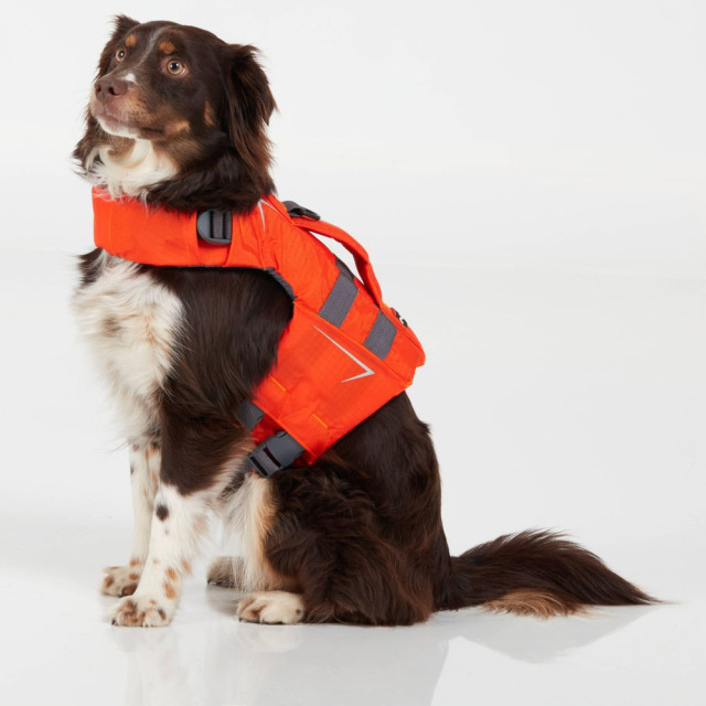 <NRS> 狗狗救生衣 CFD Dog Life Jacket