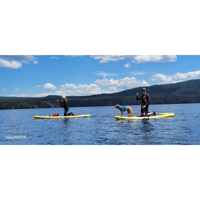 <NRS> 狗狗救生衣 CFD Dog Life Jacket