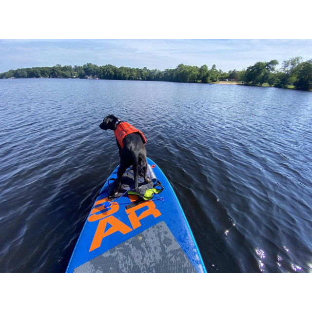 <NRS> 狗狗救生衣 CFD Dog Life Jacket